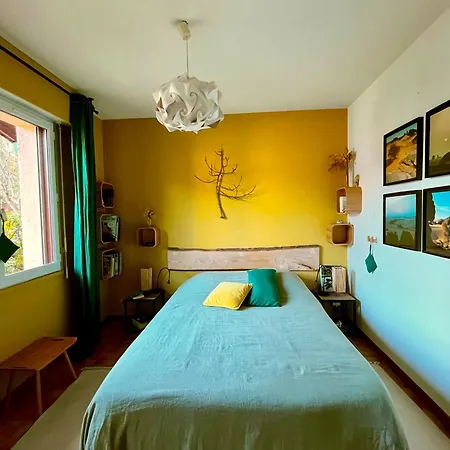 Apartment Les Pibales - T2 Vue Courant A 1.8 Km De L'ocean Mimizan